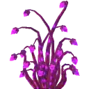 Antelight