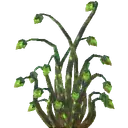 Green Antelight