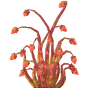 Orange Antelight