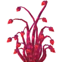 Red Antelight