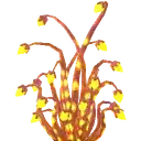 Radiant Antelight