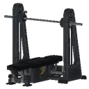 Bench Press
