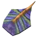 Carapace
