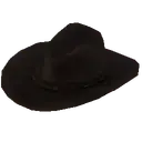 Cowboy Hat