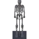 Armor Stand