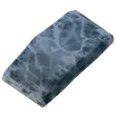 Raw Frigid Queenfish Filet