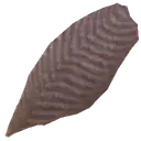 Raw Darkwater Fish Filet