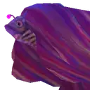 Silken Betta