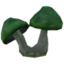 Carbuncle Mushroom