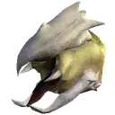 Peccary Skull