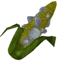 Corrupted Corn