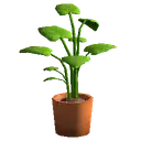 Office Plant