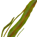 Murkweed