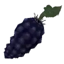 Shadowberries
