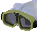 Swim Goggles