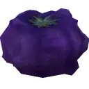 Super Tomato